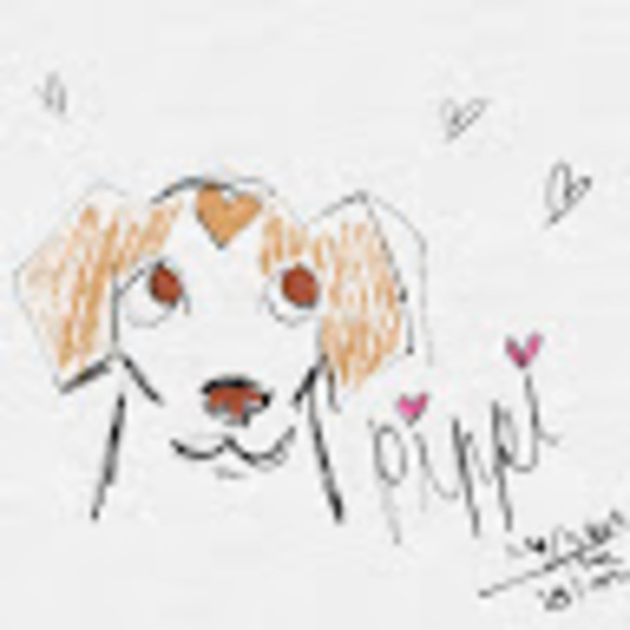 Meet your Posher, Morgan - Picture 1 of 1